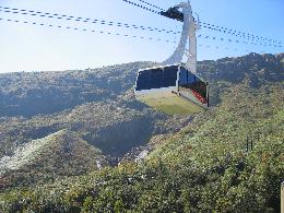 �y�G�[�XJTB�E�������s�z�Ȗ؃c�A�[�E�Ȗ؂̗��فE�z�e���\��@